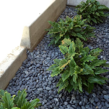 Shade and Sun Tolerant Xanadu flanks Modern Front Porch