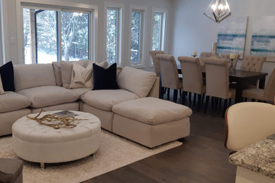 Inspiration for a modern living room remodel in Toronto