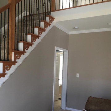 Interior Painting Projects
