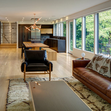 Wallace Park Modern Whole House Remodel