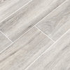 MSI NANT6X36 Antoni - 6" x 36" Rectangle Floor Tile - Matte - Cafe