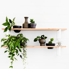 Shelves
