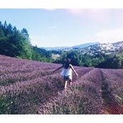 Diane Liang's photo