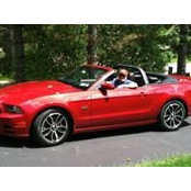 James Willman's photo