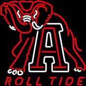Bama Fan's photo