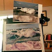 Susan Dunkerさんの写真