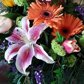 Diane Calif's photo