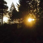 Cameron Wagner's photo