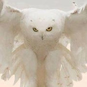 Kassandra Hooter's photo
