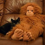 Foto de Fuzzygoth Dave
