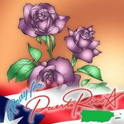 Aida Mattison's photo