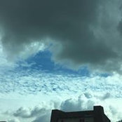 Amy Armbruster's photo
