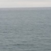 Kellie Appleton-Hultz's photo