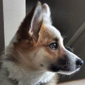 Lisa Jaegers-Prack's photo