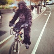 Christopher Griffin's photo