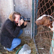 Sandra Still's photo