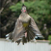 Graham Boyce's photo
