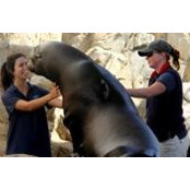 Amanda Bueno's photo