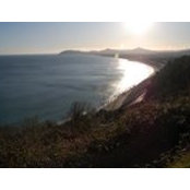 Sonya Hogan's photo