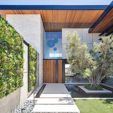Front Yard Landscaping