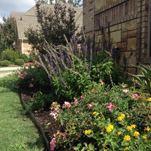 Front Yard Ideas