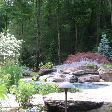 Backyard Spaces
