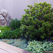 Indoor Planters