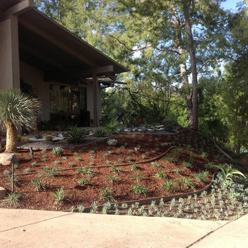 Drought tolerant Landscape Design