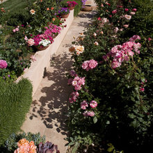 Henry's Garden Ideas