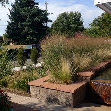 Water Feature