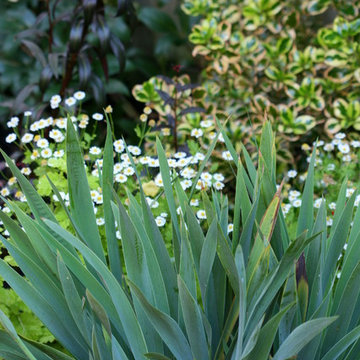 Photographer's Studio Garden