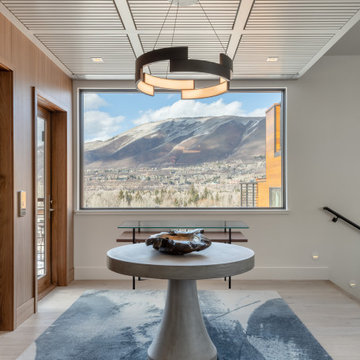 Aspen One