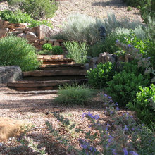 Back yard + Garden
