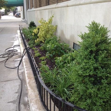 Urban Strolling Garden