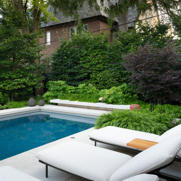 Uber Modern Backyard