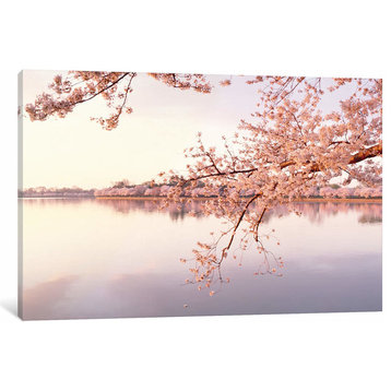 "Cherry Blossoms At the Lakeside, Washington D.C., USA II" by Panoramic, 12"x18"