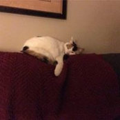 Jeanne Romnek's photo