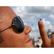 Lukas Egli's photo