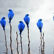 Donna Freet's photo
