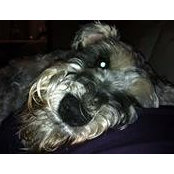 Chantale Talbot's photo
