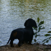 Vicki Toye's photo