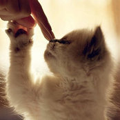 Foto von mandychow