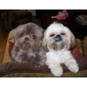 Ron Wolford's photo
