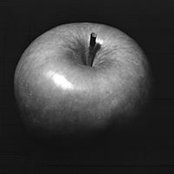 John Zimm's photo