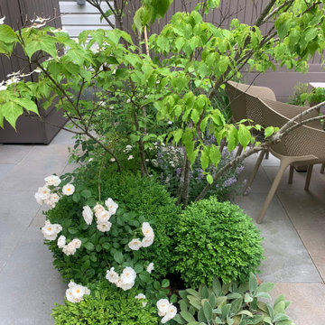 Plantings