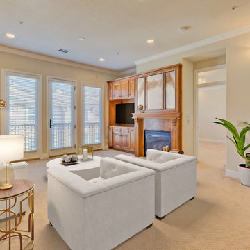 Living Rooms - Virtual Staging