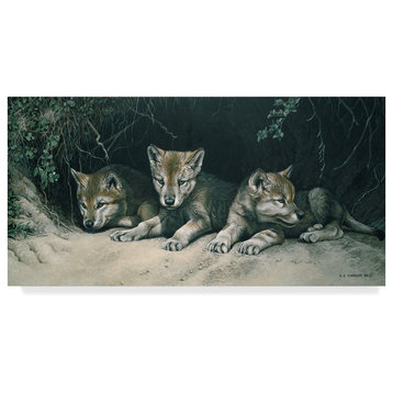 Ron Parker 'Three Little Wolves' Canvas Art, 47"x24"