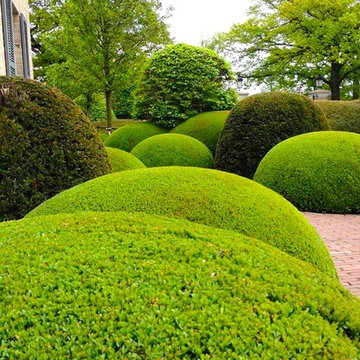 Cloud Pruning | Design | Pruning & Care