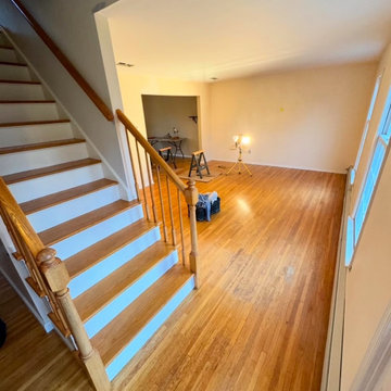 Downstairs Renovation - Succasunna