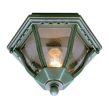 Outdoor Lights